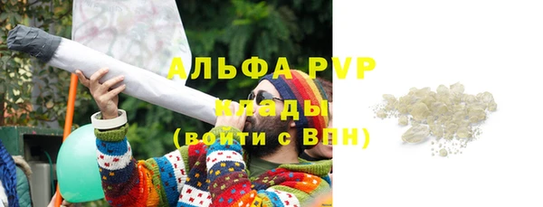 сатива Киренск