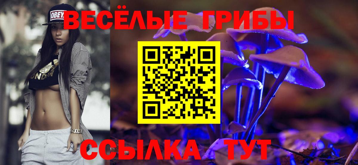 Псилоцибиновые грибы Cubensis  Вход с VPN  Среднеуральск 